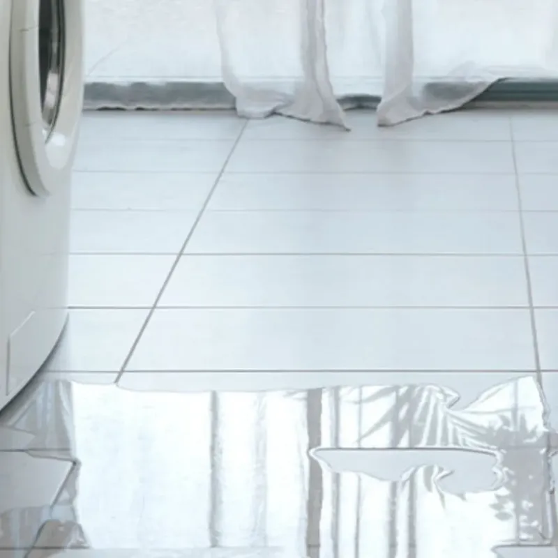 Appliance Leak Cleanup in Ocilla, GA