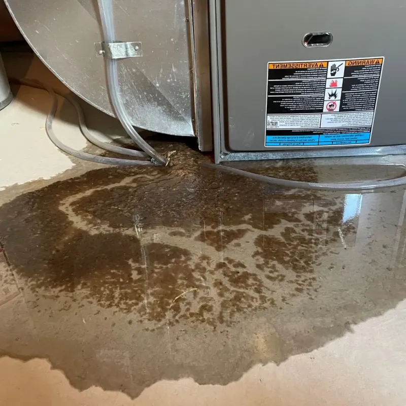 Pipe Burst and Leak Restoration in Ocilla, GA