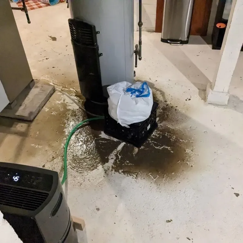 Sewage Backup Cleanup Service in Ocilla, GA